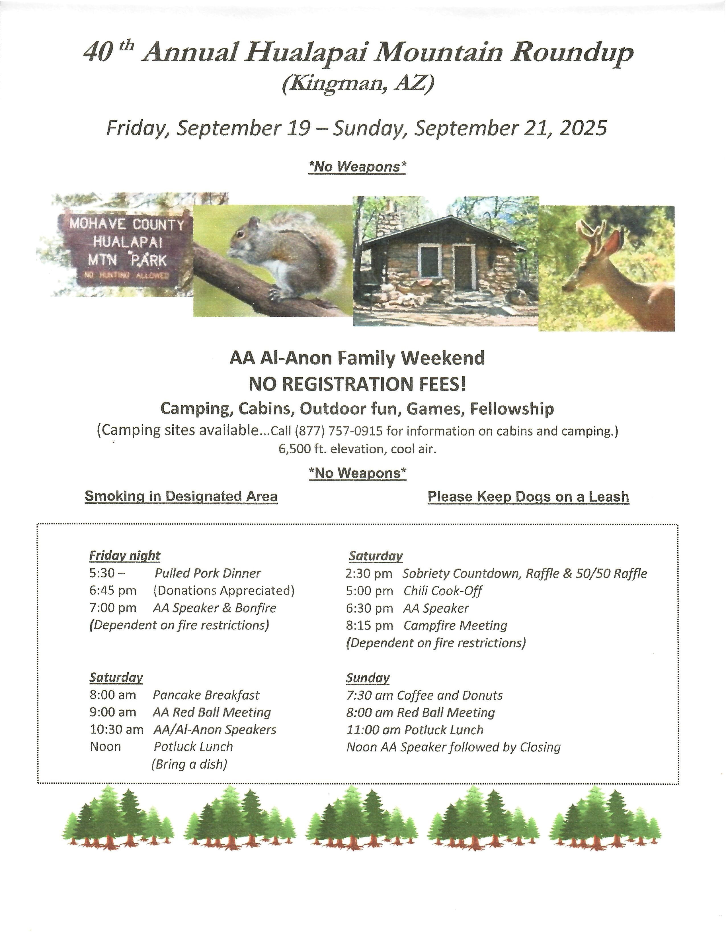 AA State Convention Flyer